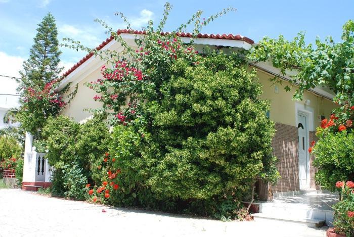 Manao Summer House Tsilivi (Zakynthos) Exterior foto