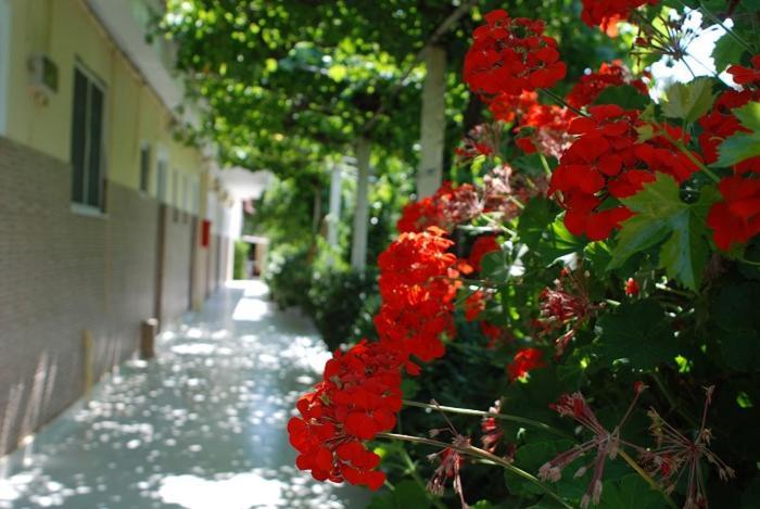 Manao Summer House Tsilivi (Zakynthos) Exterior foto